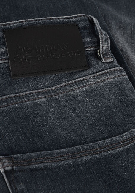 Grijze INDIAN BLUE JEANS Slim fit jeans BLUE GREY JAY TAPERED FIT - large