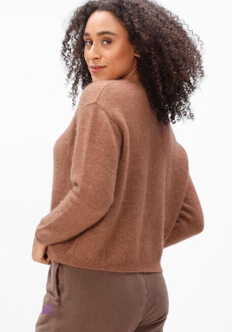 Bruine AMERICAN VINTAGE Trui VITOW - large