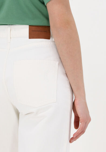 Witte COLOURFUL REBEL Wide jeans GAIA HIGHT RISE WIDE LEG DENIM PANTS - large
