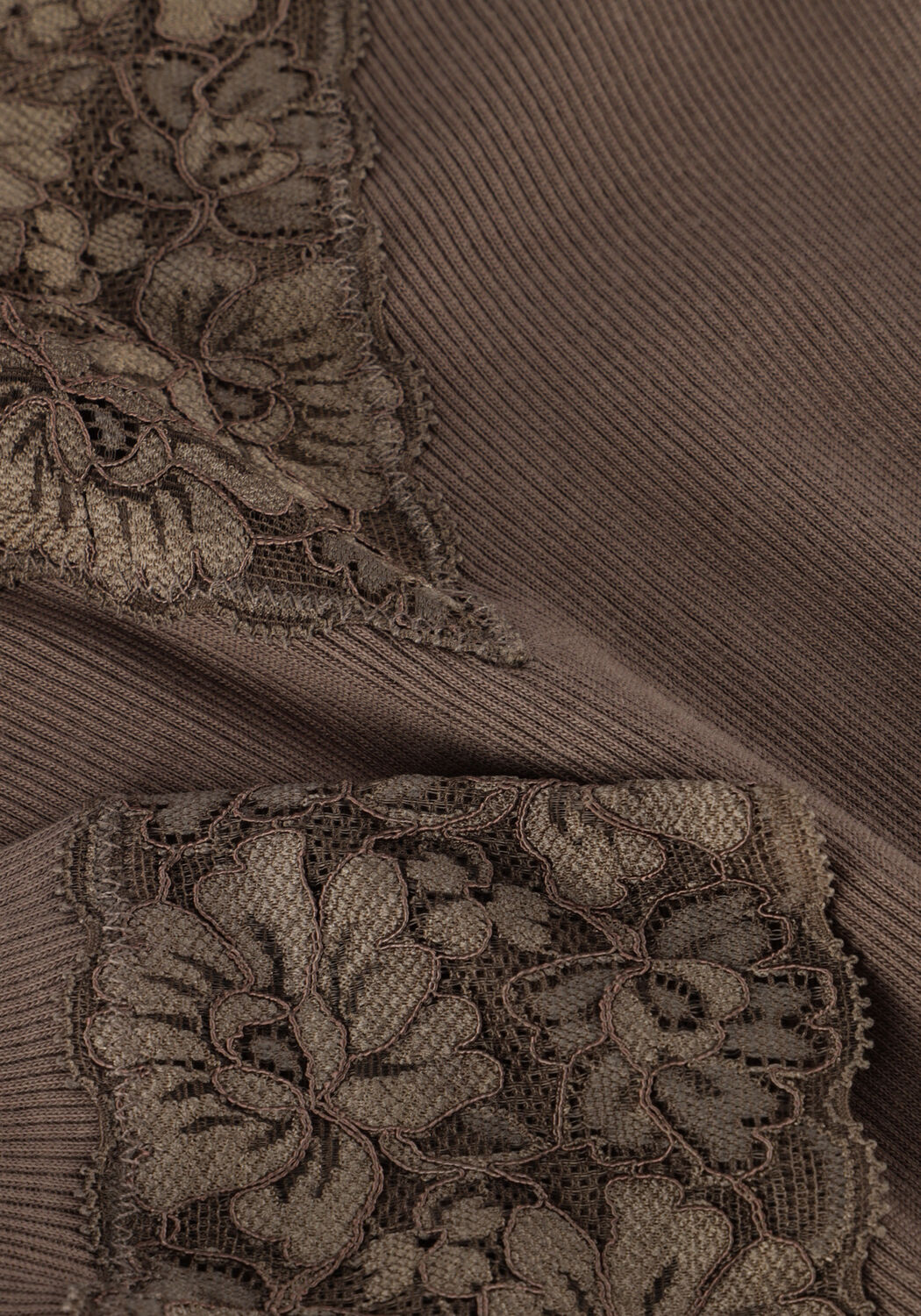 Taupe ROSEMUNDE Top BERNADINE ORGANIC T-SHIRT LACE - large