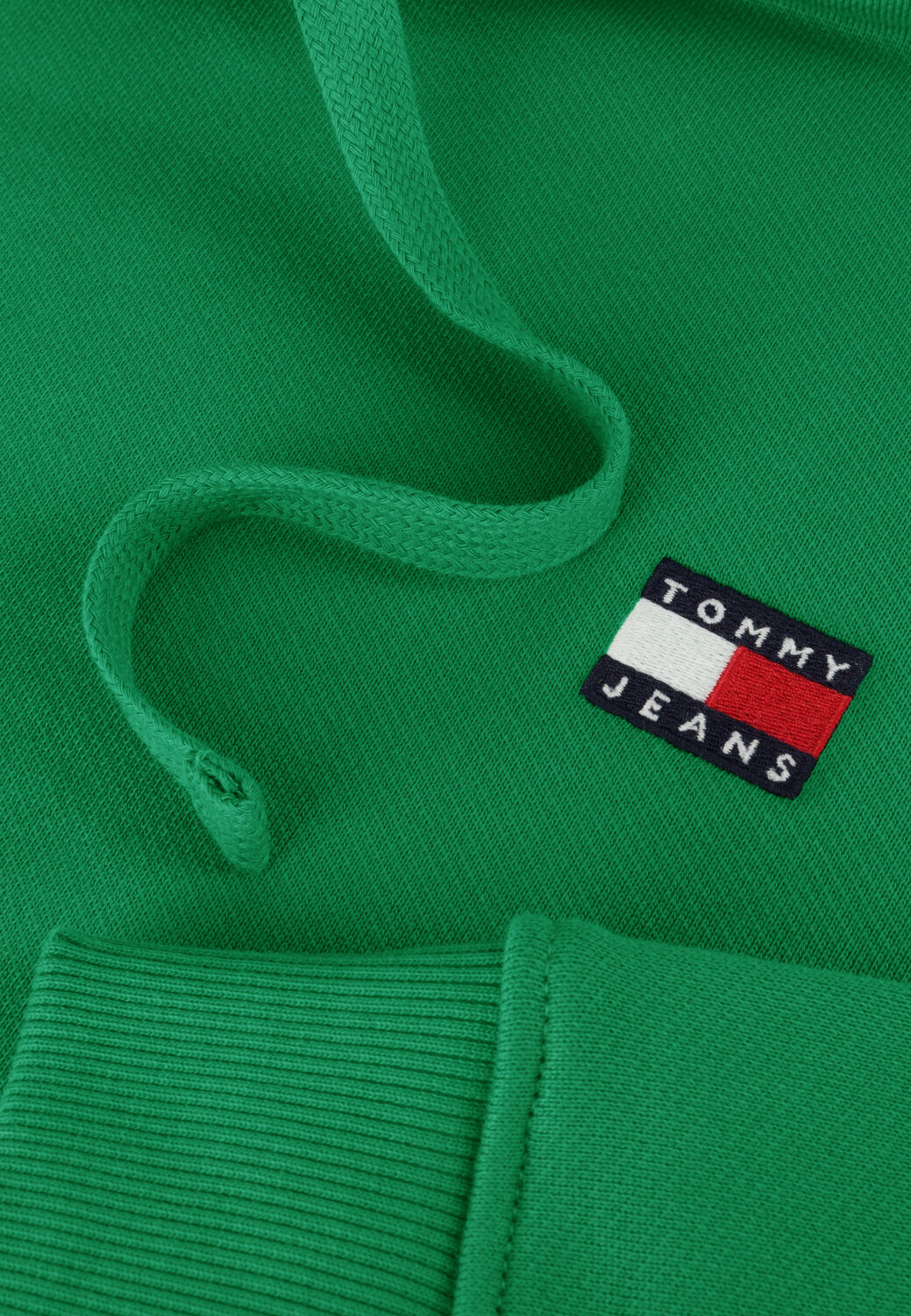 Groene TOMMY JEANS Sweater TJM REG BADGE HOODIE - large