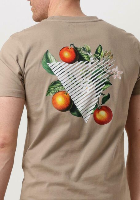 Taupe PURE PATH T-shirt TSHIRT WITH FRONT AND BACK PRINT - large