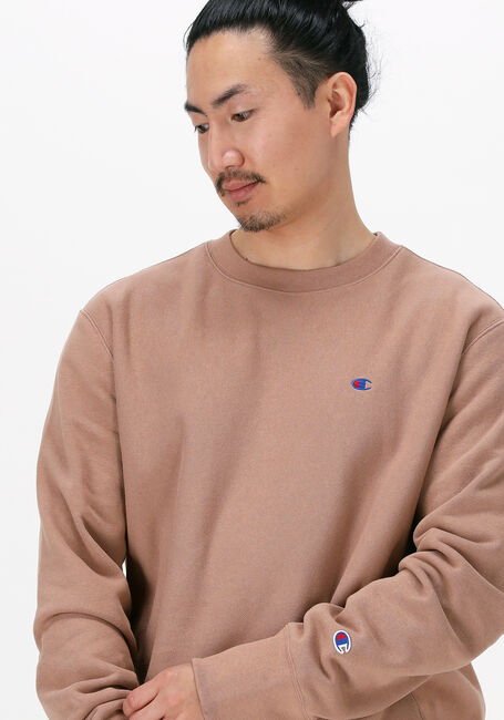 Bruine CHAMPION Sweater CREWNECK SWEATSHIRT - large
