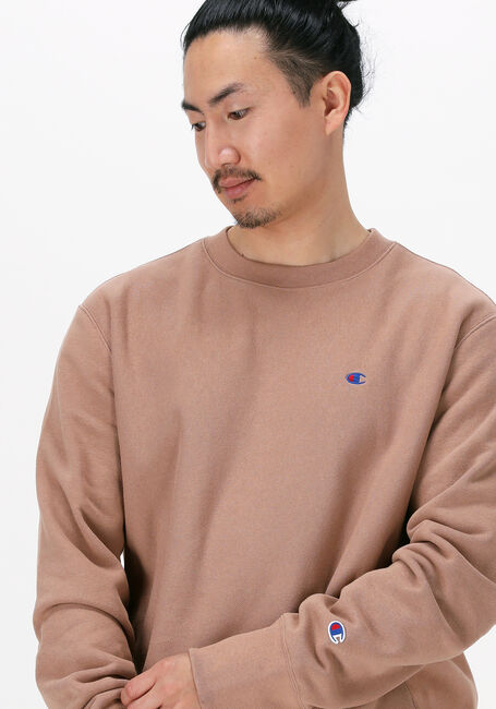 komen vijver kook een maaltijd Bruine CHAMPION Sweater CREWNECK SWEATSHIRT | Omoda