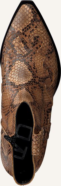 Cognac ROBERTO D'ANGELO Enkellaarsjes CX03 Cognac ROBERTO D'ANGELO Enkellaarsjes CX03 - large