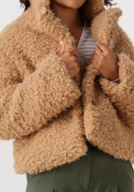 Camel ANOTHER LABEL Gewatteerde jas AL BONNIE BLAZER - large