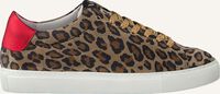 Bruine VIA VAI Lage sneakers UMA WILD - medium