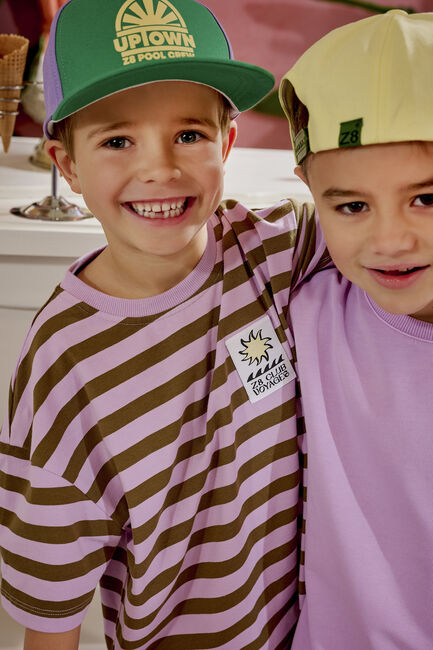 Paarse Z8 Pet AMIN - large