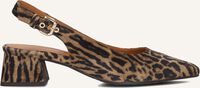 Bruine BILLI BI Slingbacks A8320 - medium