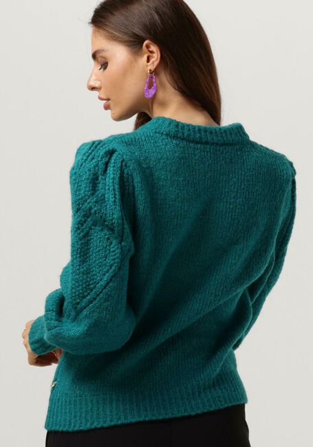 Groene FABIENNE CHAPOT Trui CATHY PULLOVER 208 - large
