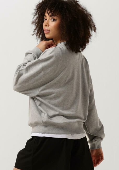 Grijze DEBLON SPORTS Sweater CIA SWEATER - large