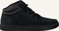 Zwarte TIMBERLAND Hoge sneakers DAVIS SQUARE EUROSPRINT KIDS - medium
