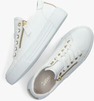 Witte GABOR Lage sneakers 465 - medium