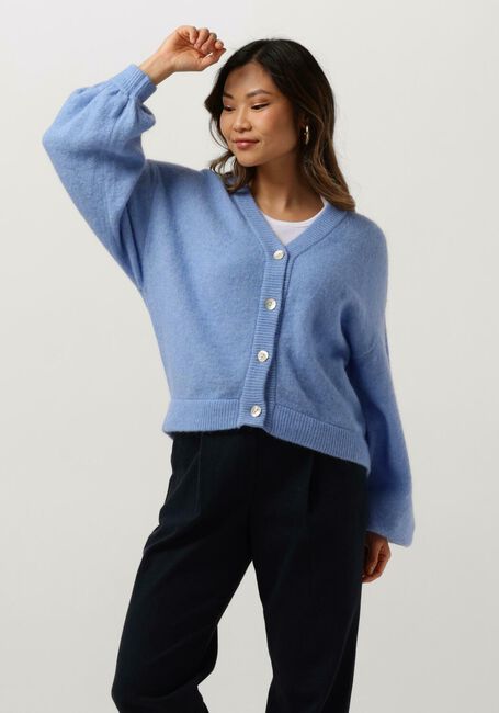 Blauwe MSCH COPENHAGEN Vest MSCHPETRINELLE HOPE CARDIGAN - large