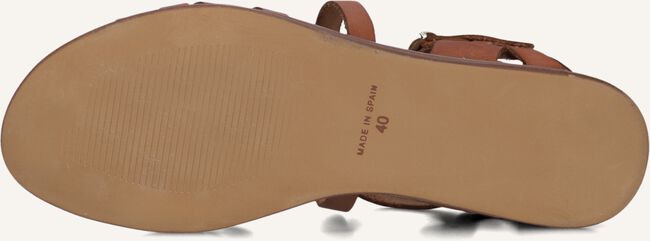 Cognac RED-RAG Sandalen 79542 TINY WEDGE Cognac RED-RAG Sandalen 79542 TINY WEDGE - large