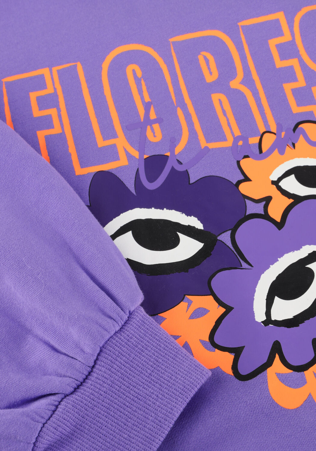 Paarse Z8 Trui CERELLA - large