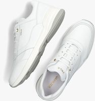Witte VAN LIER Lage sneakers 2317618 - medium