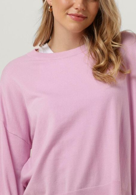 Roze MSCH COPENHAGEN Trui DALINDA RACHELLE PULLOVER - large