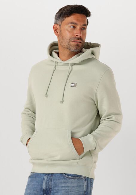 Mint TOMMY JEANS Trui TJM REG BADGE HOODIE EXT - large