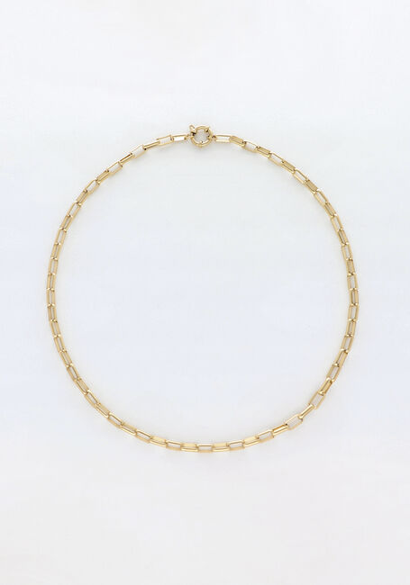 Goudkleurig NOTRE-V Kettingen NECKLACE CHAIN - large