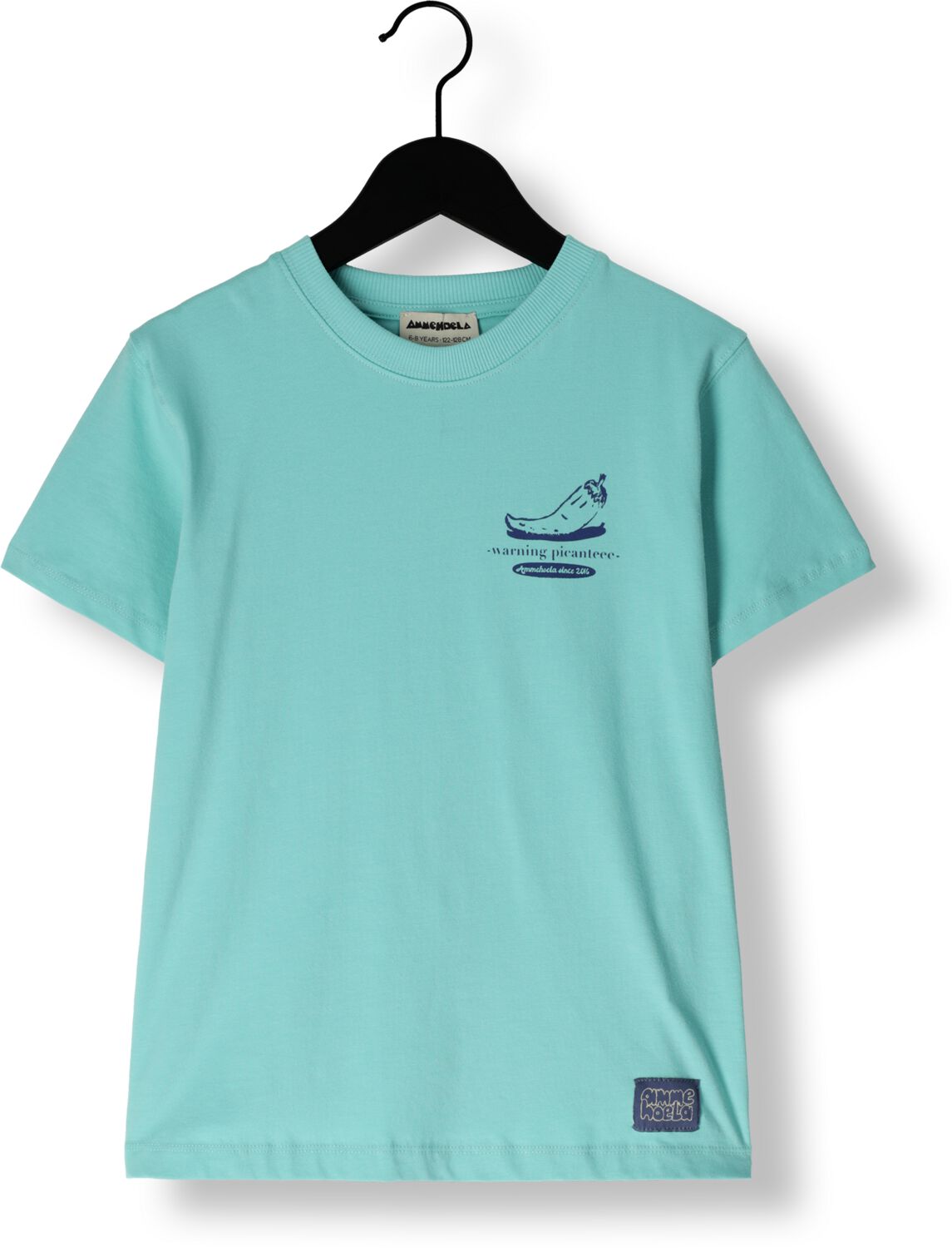 AMMEHOELA Jongens Polo's & T-shirts Zoe Blauw
