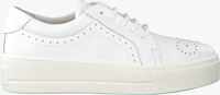 Witte ROBERTO D'ANGELO Sneakers ELY  - medium
