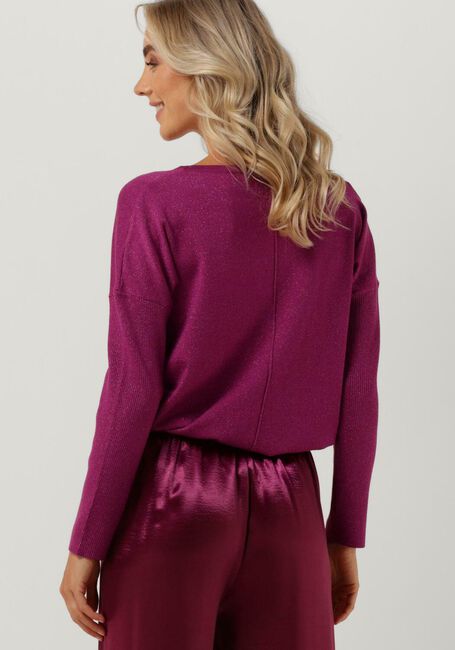 Paarse YDENCE Trui KNITTED TOP LANI - large