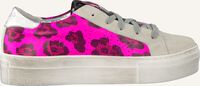 Roze P448 Lage sneakers 261913111 - medium