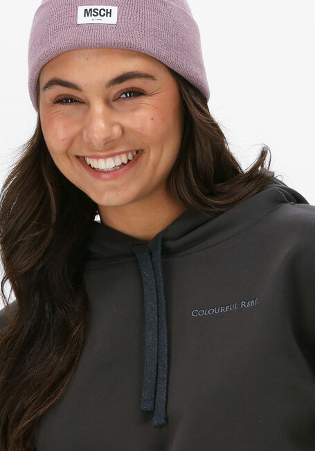 Grijze COLOURFUL REBEL Sweater UNI OVERSIZED HOODY - large