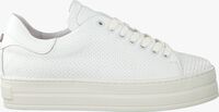 Witte VIA VAI Sneakers 5011026 - medium