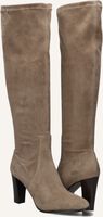 Taupe STEFANO LAURAN Hoge laarzen 97480 Taupe STEFANO LAURAN Hoge laarzen 97480 - medium