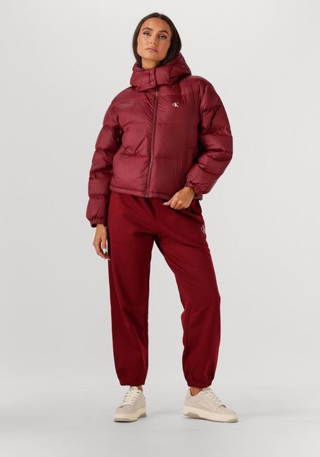 Bordeaux CALVIN KLEIN Gewatteerde jas ESSENTIAL MIDWEIGHT PUFFER JACKE - large