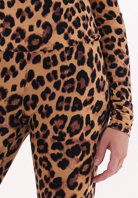 Bruine HARPER & YVE Flared broek LEXIE-PA - large