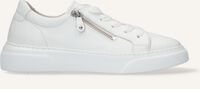 Witte GABOR Sneakers 314 - medium