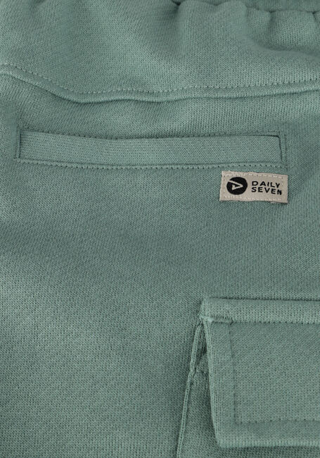 Groene DAILY7 Korte broek CARGO SHORT - large