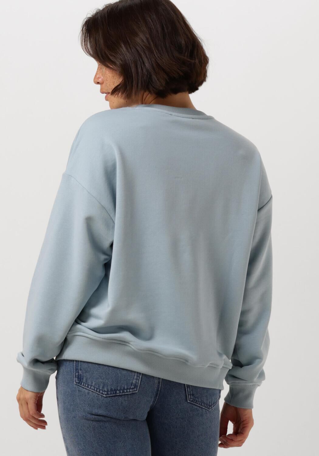 REFINED DEPARTMENT Dames Truien & Vesten Femme Lichtblauw