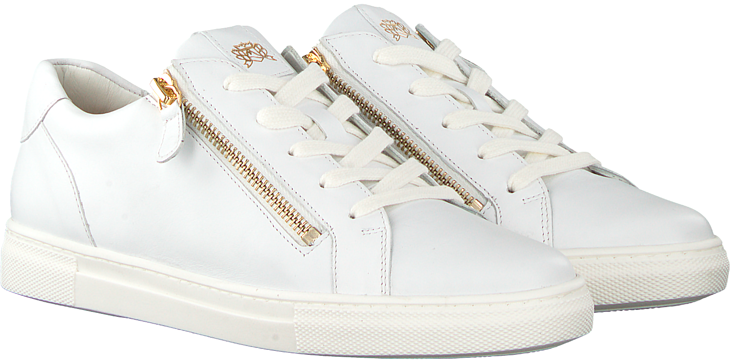 hassia sneakers sale