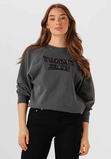 Donkergrijze TOMMY JEANS Trui TJW BXY LEOPARD VARSITY CREW - large