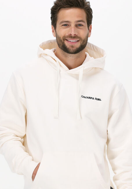 Beige COLOURFUL REBEL Sweater CR EST. 2013 BACK PRINT HOODIE - large