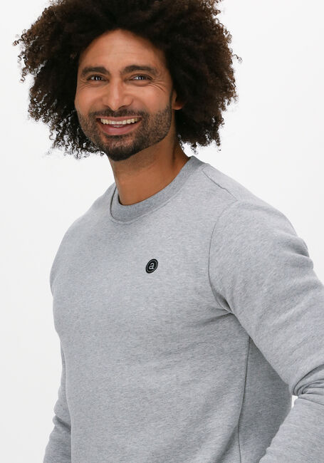 Lichtgrijze ANERKJENDT Sweater AKALLEN NOOS CREWNECK - large