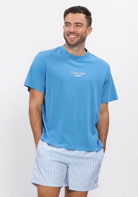 Lichtblauwe CALVIN KLEIN T-shirt SS 20S ACID WASH GRAPHIC CREWNK - large