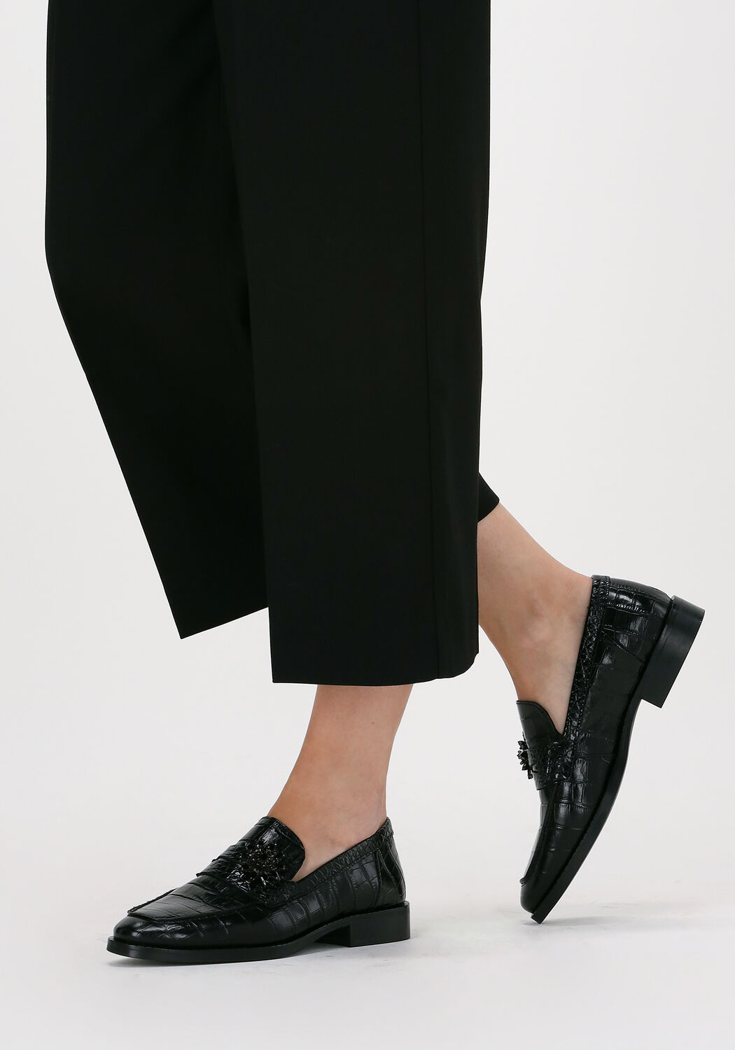Loafers scotch sales and soda