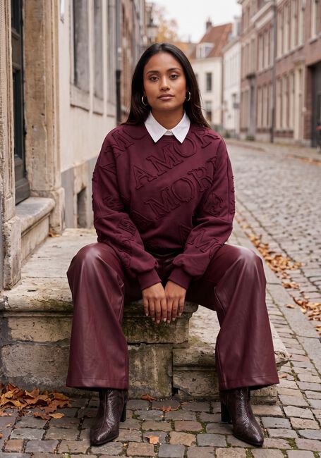 Bordeaux AMAYA AMSTERDAM Sweater AMOUR SWEATER - large