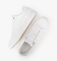 Witte PS POELMAN Lage sneakers LEVI - medium