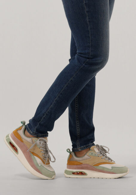Multi THE HOFF BRAND Lage sneakers GRIFFITH Multi THE HOFF BRAND Lage sneakers GRIFFITH - large