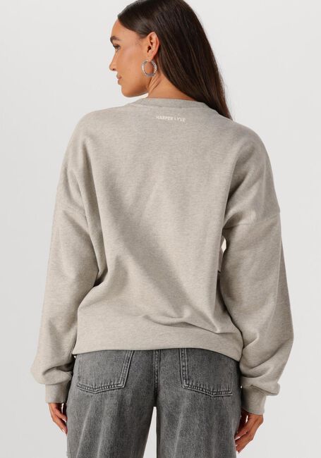Grijze HARPER & YVE Sweater DOWNTOEARTH-SW - large