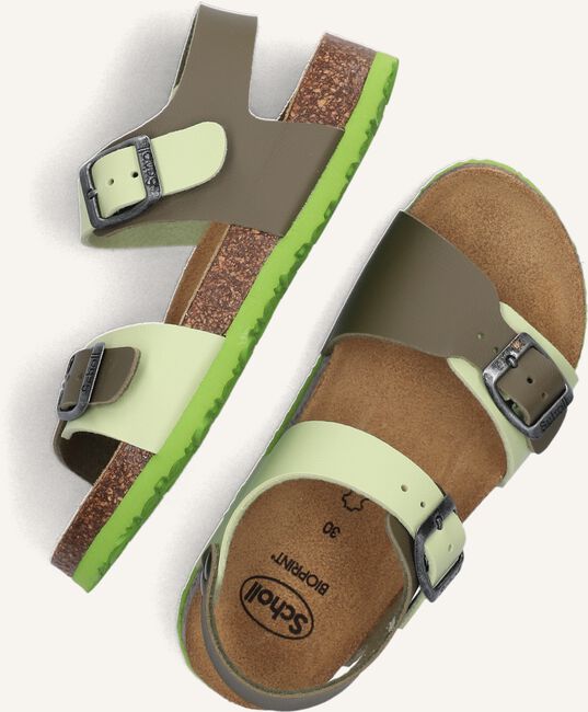 Groene SCHOLL Sandalen SHARK Groene SCHOLL Sandalen SHARK - large