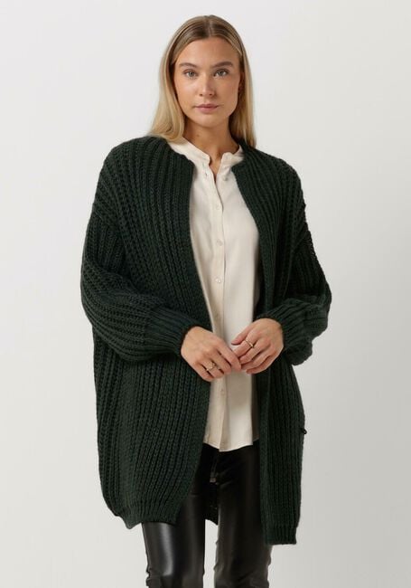 Groene SIMPLE Vest OLIVE KNIT-WO-22-3 - large