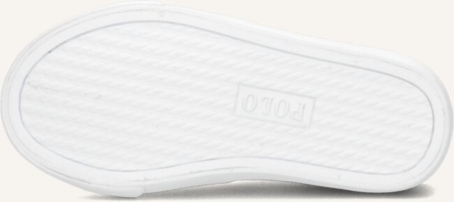 Witte POLO RALPH LAUREN Lage sneakers THERON V PS Witte POLO RALPH LAUREN Lage sneakers THERON V PS - large