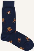 Blauwe ALFREDO GONZALES Sokken ROODBORSTJE - medium